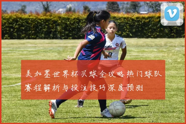 美加墨世界杯买球全攻略热门球队赛程解析与投注技巧深度预测