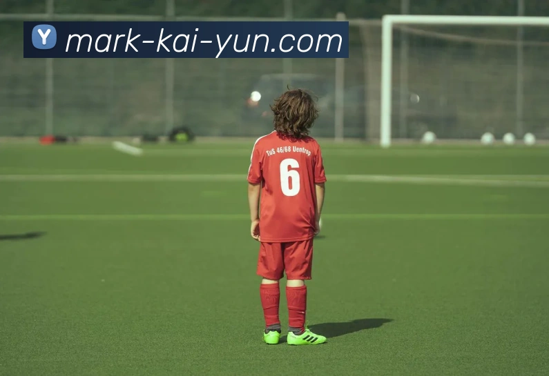 开云平台展示图