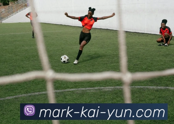 开云官网全站App